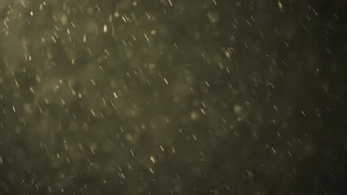 Golden Particles Floating and Glowing on Dark Background