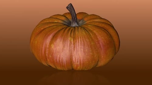 Big Pumpkin 3D Loop
