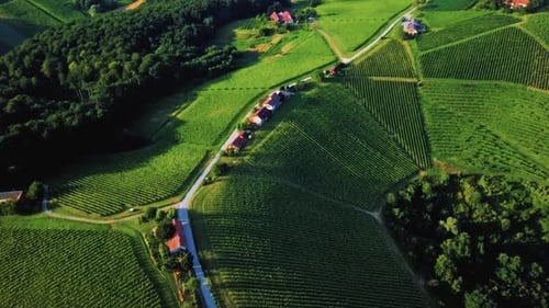 Breathtaking Drone Footage of Rolling Green Vineyards and Historic Architecture