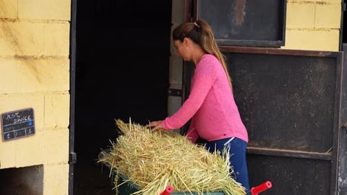 Woman Placing Hay from Wheelbarrow in Stable