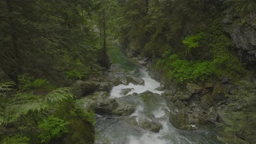 Water cascades along the creek in Lynn Canyon Vancouver