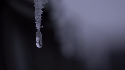 Frost drops on a greenhouse, closeup. In 4K.