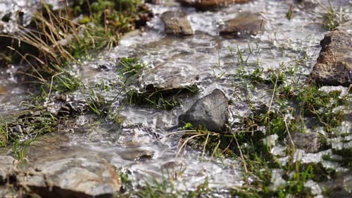 Sparkling Water Flowing Over Rocks in Mountain Stream