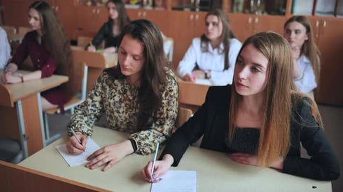 Students Studying in a Classroom