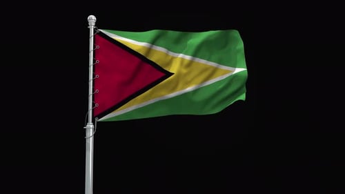 Guyana National Flag Waving Animation on Flagpole