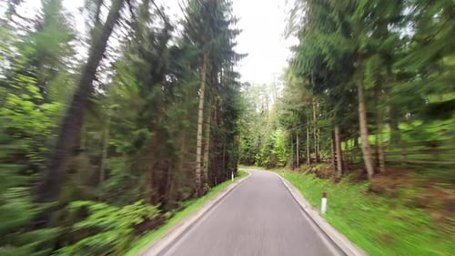 driving along a small paved road in the forest