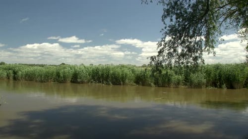 Entspannender schöner Sommermorgen am Ufer des Flusses mit blauem Himmel.