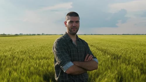 Portrait of young farmer standing in a green wheat field examining crop.