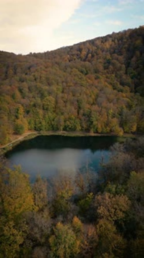Aerial view of the mountains and forests