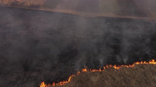 Aerial View of Spring Dry Grass Burning field. Fire and Smoke in the Meadow, Nature Pollution
