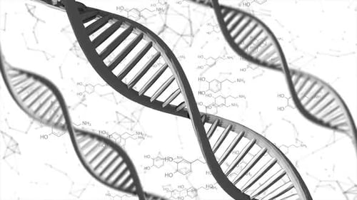 Animated DNA Double Helix Structure with Chemical Formulas