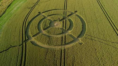 Hackpen hill wheat field mysterious crop circle design in green furrow farmland aerial landscape vie