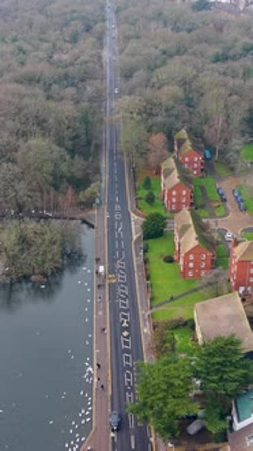 Vertical aerial of Snaresbrook Road with Eagle Pond, houses, and forest