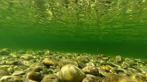 Underwater Current Of A Mountain River