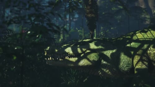 Crocodile reposant silencieusement parmi les ombres dans une forêt tropicale au crépuscule