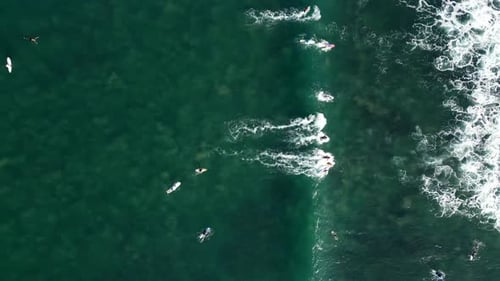 Surfers in Bali - Indonesia.