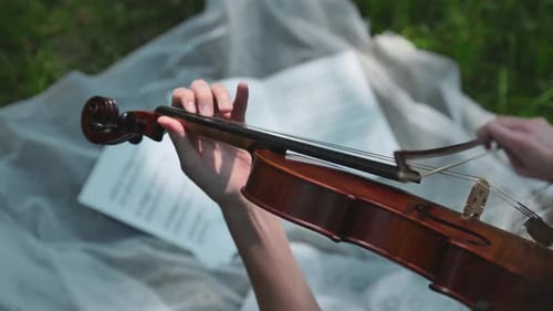 The Girl Plays with Music on the Violin in the City Park