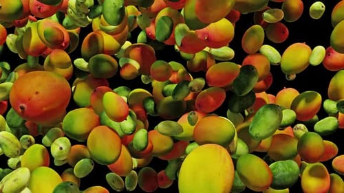 Mango Set Explosion 03 HD