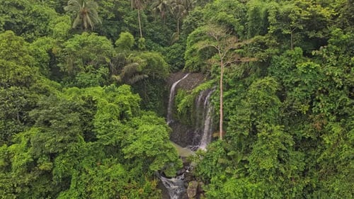 Lush green jungle waterfall scenery in bali