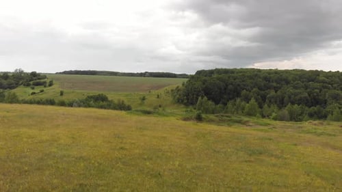 Summer Grass Field
