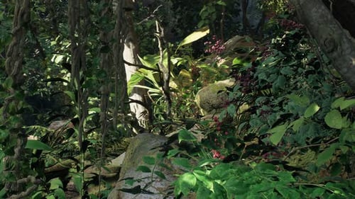 Vivid Tropical Scene Highlighting Forest Vines And Leafy Growth