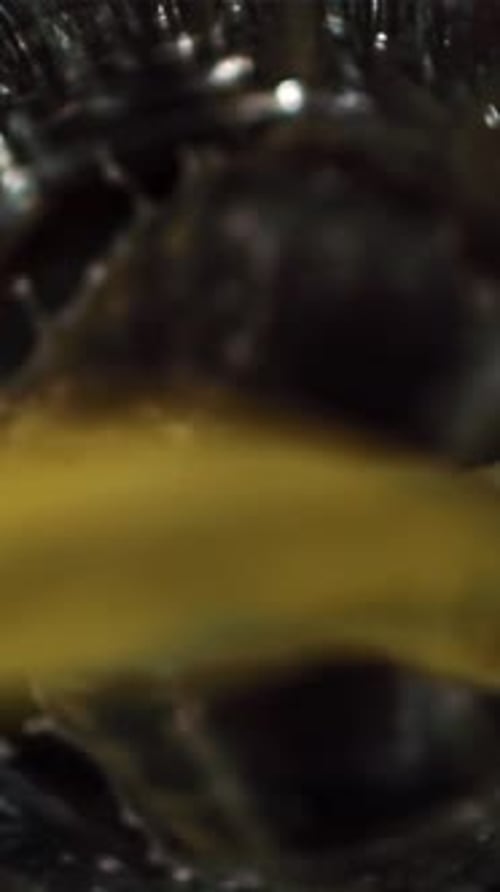 Ananassaft wird in ein Glas gegossen, in Zeitlupe mit 1000 Bildern pro Sekunde gefilmt