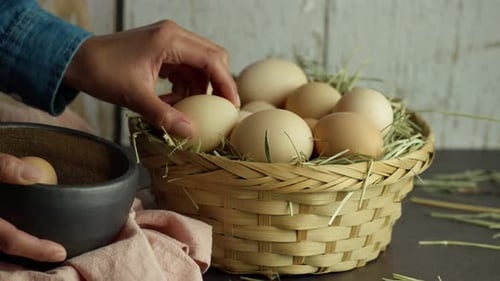 Chicken Eggs Being Placed in Woven Basket