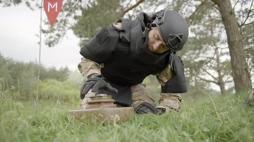 Military sapper demining an anti-tank mine in the field near the forest