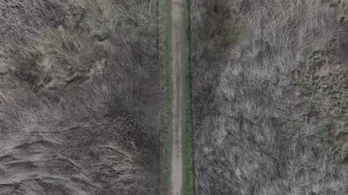 Aerial View of Dirt Path Through Grassy Landscape