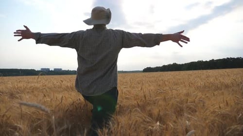 Follow to Happy Young Agronomist Raising Hands While Running Through Wheat Field Unrecognizable