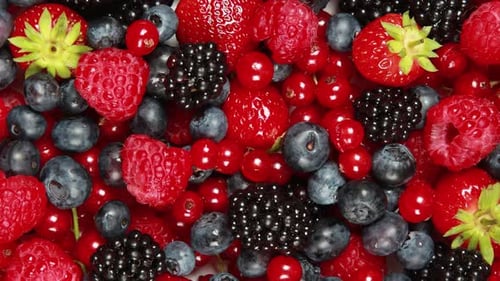 Overhead Footage of Strawberries, Blueberries, Raspberries, and Blackberries