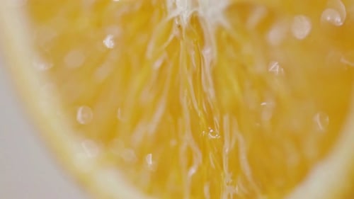 Orange Fruit