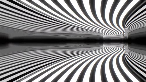 Trippy Psychedelic Black White Striped Mirror Optical Illusion Tunnel