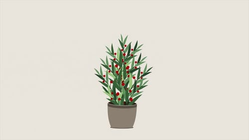 Home plant animation. Potted plant isolated. Decorative green houseplant in pot. Plant in pot