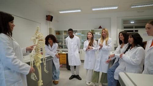 Medical Students Studying Human Skeleton in Anatomy Class