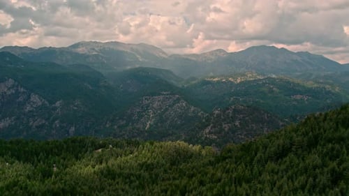 Green Hills with Forest
