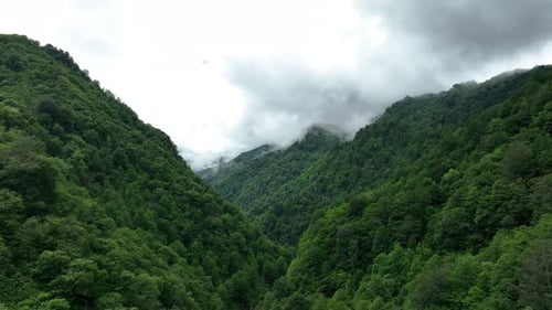Vallée de Kamilet dans la province d'Artvin