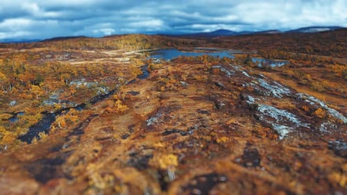 Aerial footage of a serene autumn tundra landscape, with a meandering river and golden withering fol