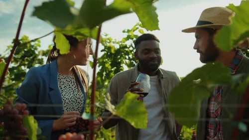 A Group of Friends are Enjoying a Delightful Wine Tasting Experience in a Picturesque Vineyard