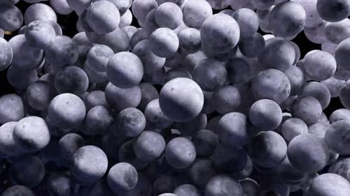Small Moons Rotating Incrementally Against Black Cosmic Backdrop Generating Mesmerizing Visual