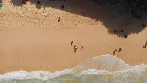 Top Aerial View on Sandy Ocean Shore with Resting Tourists and Beach Umbrellas Turquoise Water in