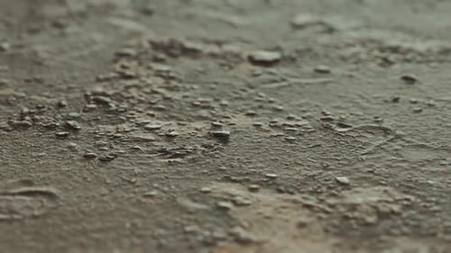 Closeup of Dirty Ground Road