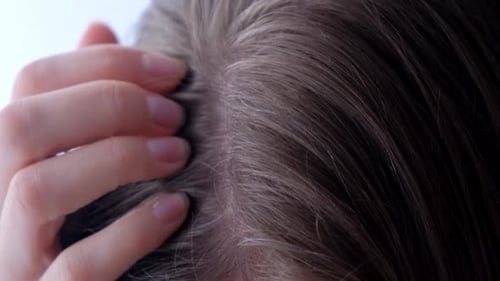 Macro Shot of Graying Hair Roots