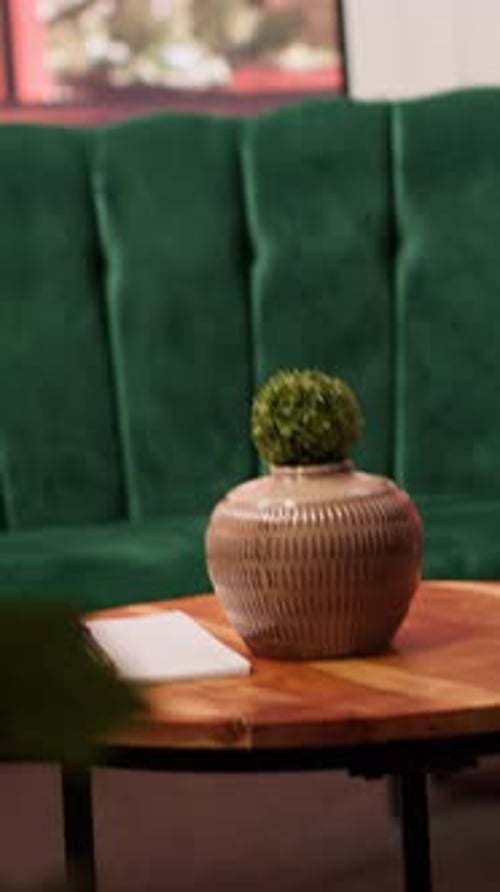 Empty High End Psychotherapy Cabinet Equipped with Modern Furniture and Plants