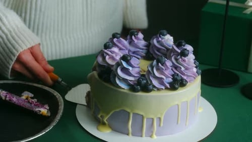 Close Up of Blueberry Cake Slice