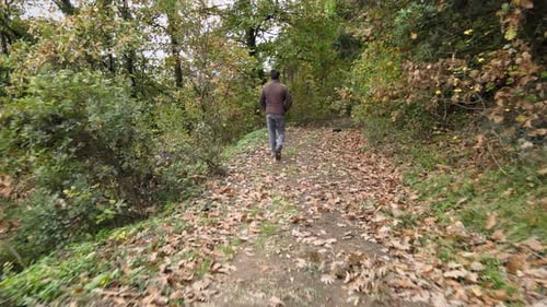 alone man walking forest