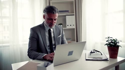 Mature businessman works on computer at desk in bright modern office