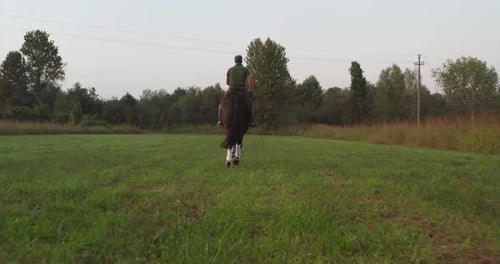 Slow motion of young carefree male is riding a purebred brown horse in nature on a sunset.
