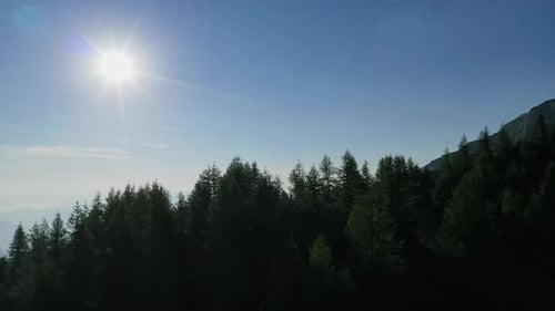Drone pan shot of forest and trees at the front revealing mountain ridge at back.