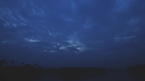 Dark Horizon with Silhouetted Trees Beneath Cloudy Sky